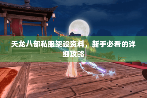 天龙八部私服架设资料，新手必看的详细攻略