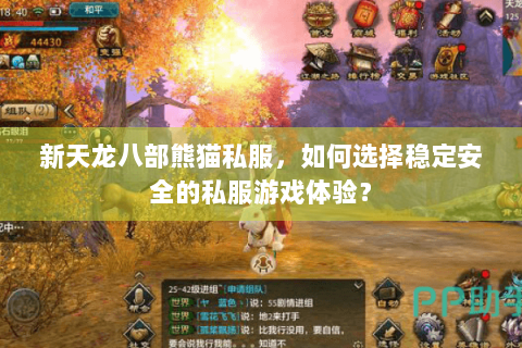 新天龙八部熊猫私服，如何选择稳定安全的私服游戏体验？