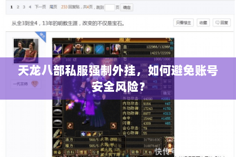 天龙八部私服强制外挂，如何避免账号安全风险？