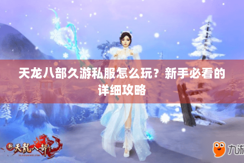 天龙八部久游私服怎么玩？新手必看的详细攻略