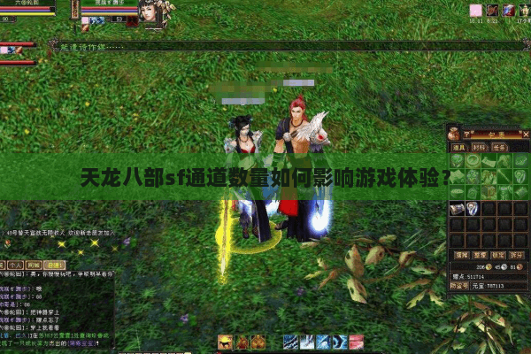 天龙八部sf通道数量如何影响游戏体验？