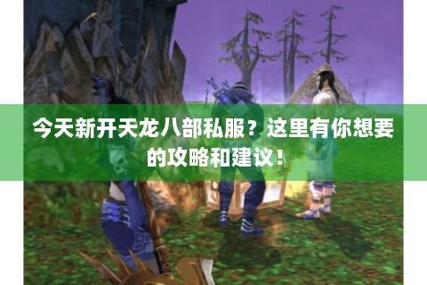 今天新开天龙八部私服？这里有你想要的攻略和建议！