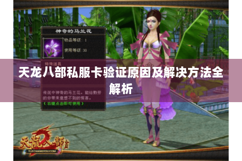天龙八部私服卡验证原因及解决方法全解析