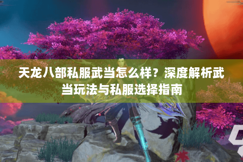 天龙八部私服武当怎么样？深度解析武当玩法与私服选择指南