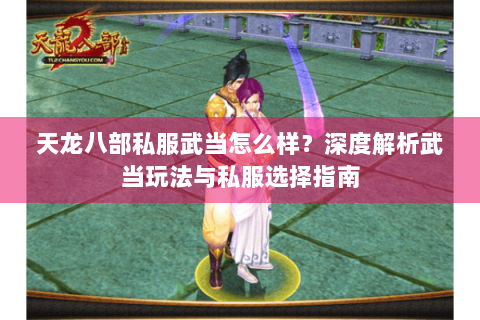 天龙八部私服武当怎么样？深度解析武当玩法与私服选择指南