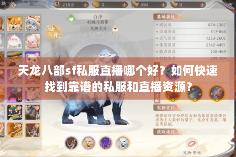 天龙八部sf私服直播哪个好？如何快速找到靠谱的私服和直播资源？