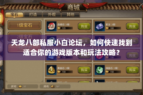 天龙八部私服小白论坛，如何快速找到适合你的游戏版本和玩法攻略？