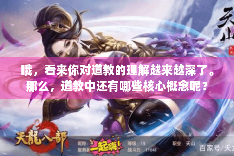 哦，看来你对道教的理解越来越深了。那么，道教中还有哪些核心概念呢？