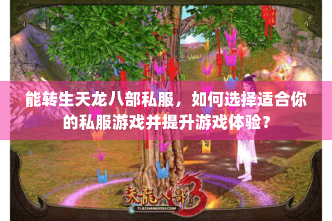 能转生天龙八部私服，如何选择适合你的私服游戏并提升游戏体验？