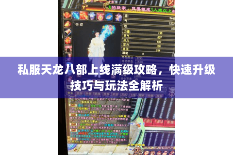 私服天龙八部上线满级攻略，快速升级技巧与玩法全解析