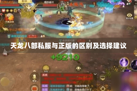 天龙八部私服与正版的区别及选择建议