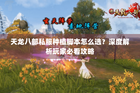 天龙八部私服种植脚本怎么选？深度解析玩家必看攻略
