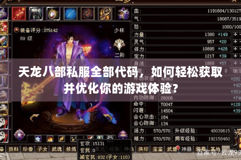 天龙八部私服全部代码，如何轻松获取并优化你的游戏体验？