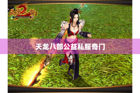 天龙八部公益私服奇门