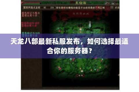 天龙八部最新私服发布，如何选择最适合你的服务器？