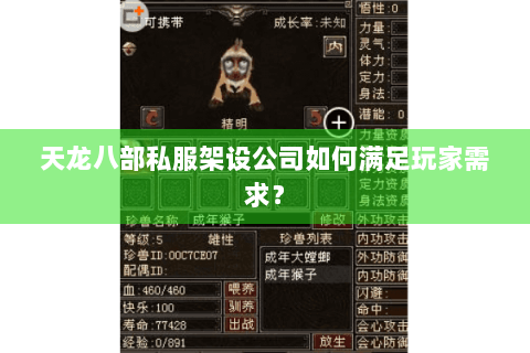 天龙八部私服架设公司如何满足玩家需求？