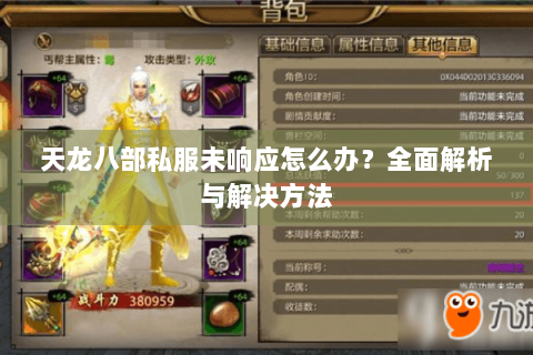 天龙八部私服未响应怎么办？全面解析与解决方法