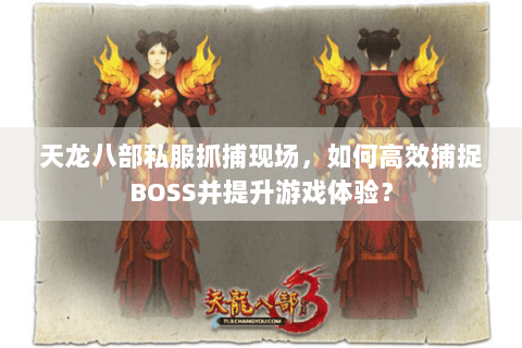 天龙八部私服抓捕现场，如何高效捕捉BOSS并提升游戏体验？