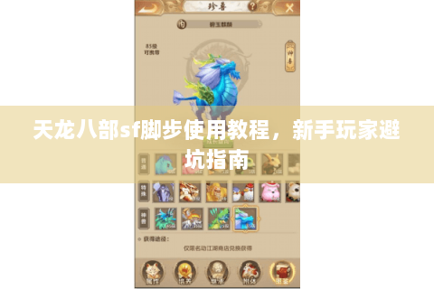 天龙八部sf脚步使用教程，新手玩家避坑指南