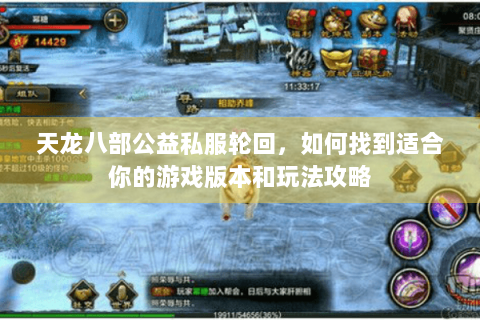 天龙八部公益私服轮回，如何找到适合你的游戏版本和玩法攻略