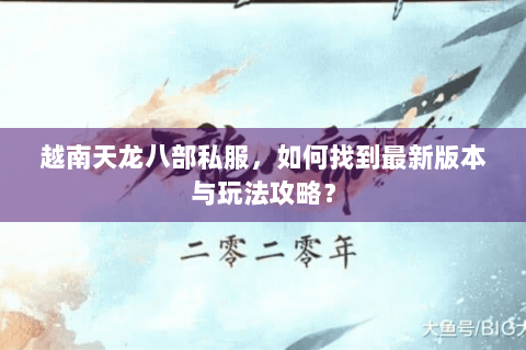 越南天龙八部私服，如何找到最新版本与玩法攻略？