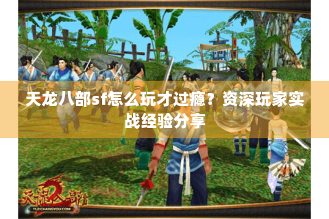 天龙八部sf怎么玩才过瘾？资深玩家实战经验分享