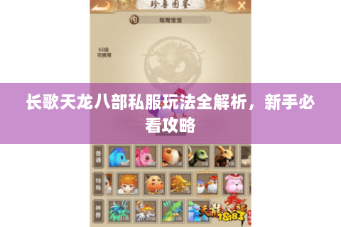 长歌天龙八部私服玩法全解析，新手必看攻略