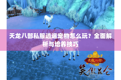 天龙八部私服逍遥宠物怎么玩？全面解析与培养技巧