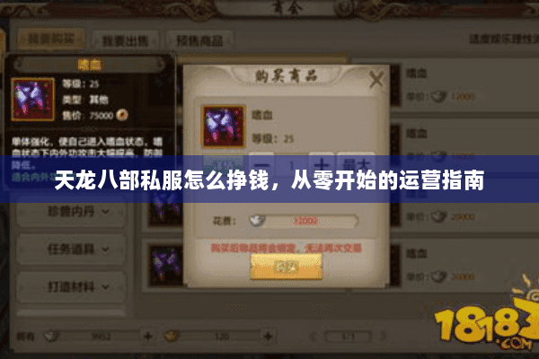 天龙八部私服怎么挣钱，从零开始的运营指南