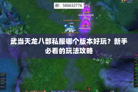 武当天龙八部私服哪个版本好玩？新手必看的玩法攻略