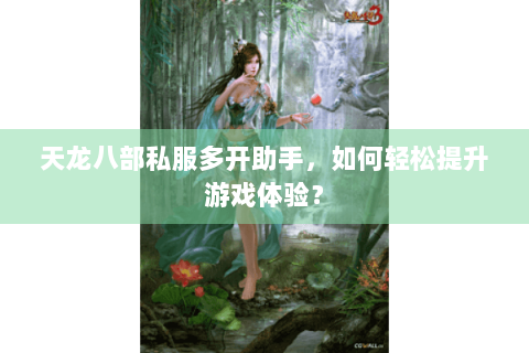 天龙八部私服多开助手，如何轻松提升游戏体验？