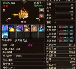 阜新天龙八部发布网官网如何获取稀有装备？进阶玩家必看指南