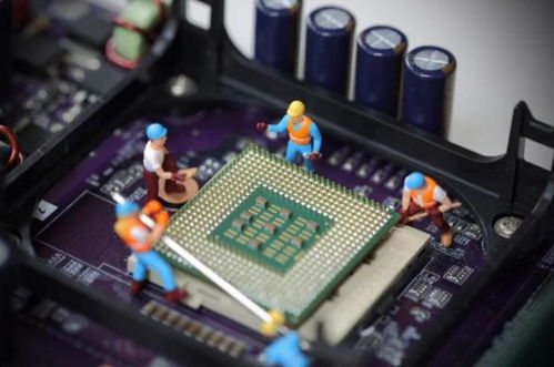 666天龙八部发布网，私服玩家如何避开陷阱找到稳定服务器？